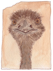 emoe illustratie pentekening en aquarel