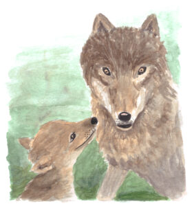 wolf aquarel illustratie